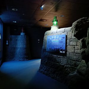 General view - Bioparc Acuario de Gijón