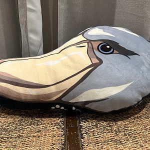 Shoebill Decorative Pillow - ZooTampa