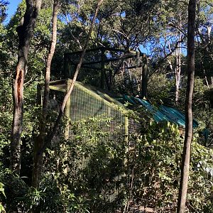 Holding cage for new primates