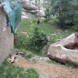 Puma enclosure 13.7.25
