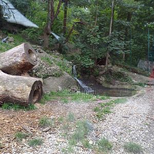 Puma enclosure 13.7.25