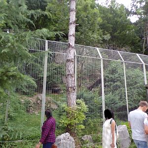 Second snow leopard enclosure 13.7.25