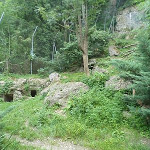 Second snow leopard enclosure 13.7.25