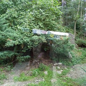 Second snow leopard enclosure 13.7.25