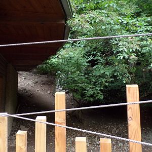Parma wallaby and emu enclosure 13.7.25