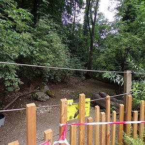 Parma wallaby and emu enclosure 13.7.25