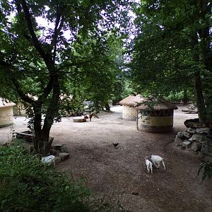 Mixed domestic african animal enclosure 13.7.25