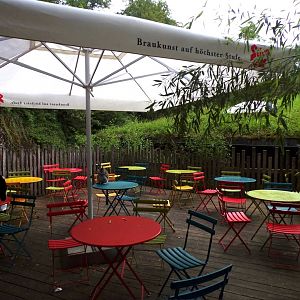 Lemur free-roaming in Africa section of zoo 13.7.25