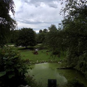 Birds Park enclosure 13.7.25