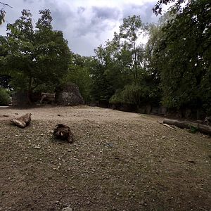 White rhinoceros hardstanding enclosure 13.7.25
