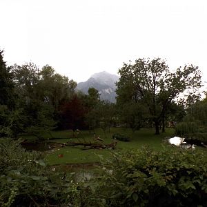 View of Birds Park enclosure and view 13.7.25