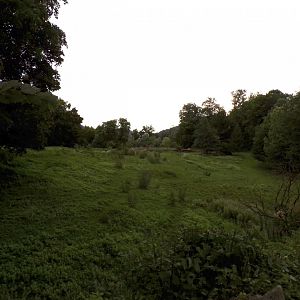 Sable antelope, Red lechwe and White rhino savannah 13.7.25