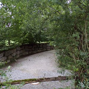 Grevy’s zebra enclosure 13.7.25