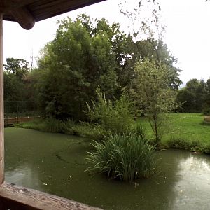 Cheetah enclosure 13.7.25