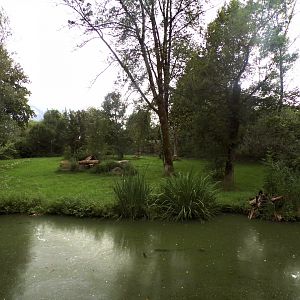 Cheetah enclosure 13.7.25