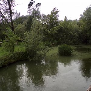 Cheetah moat 13.7.25