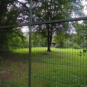Cheetah enclosure 13.7.25