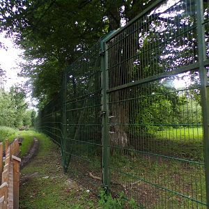 Cheetah enclosure (big!) 13.7.25
