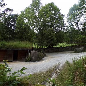 Grevy’s zebra enclosure 13.7.25