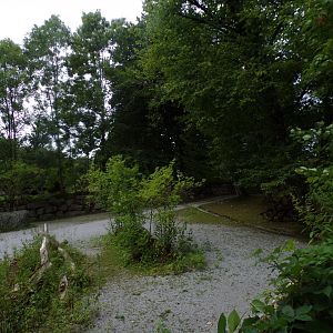 Grevy’s zebra enclosure 13.7.25