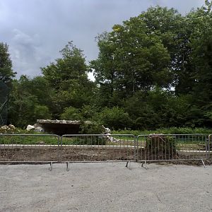 Future extension to African lion enclosure 13.7.25