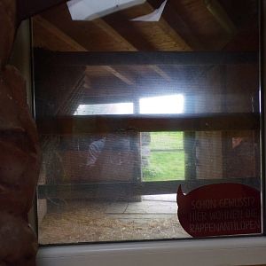 View into hoofstock housing from lion house 13.7.25