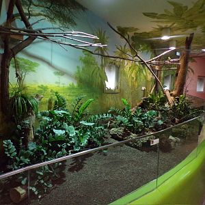 Second mixed lion house enclosure 13.7.25