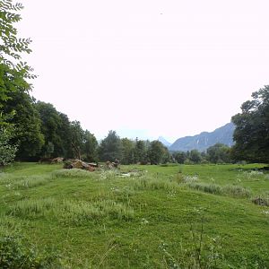Red lechwe, Sable antelope and White rhino savannah 13.7.25