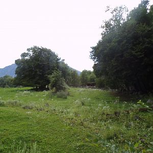 Red lechwe, Sable antelope and White rhino savannah 13.7.25