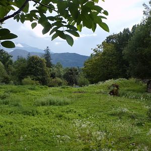 Red lechwe, Sable antelope and White rhino savannah 13.7.25