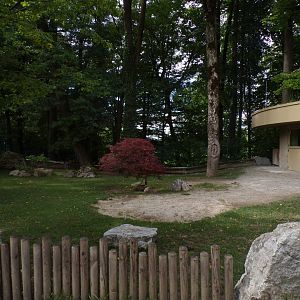 African spurred tortoise enclosure 13.7.25