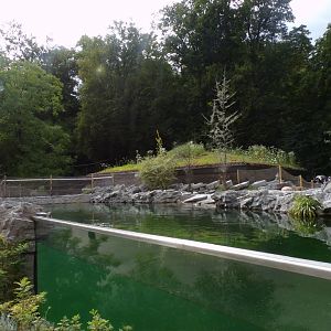 African penguin enclosure 13.7.25