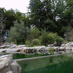 African penguin enclosure 13.7.25