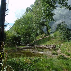 Jaguar enclosure 13.7.25