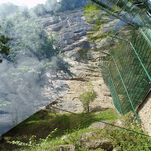 Jaguar enclosure 13.7.25