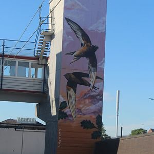 Lift tower Macclesfield station