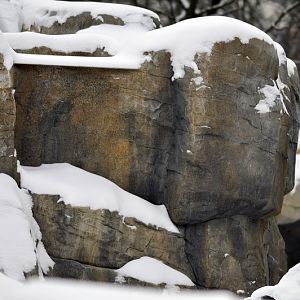 Polarbear-Waterfall at Hannover zoo