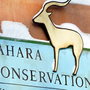 Sahara-Sign at Hannover zoo