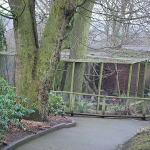 RED RUFFED LEMUR OUTDOOR ENCLOSURE