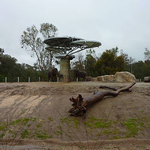 2/6/10 - EO - Elephant Exhibit