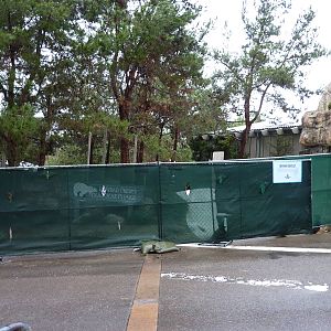 2/6/10 - Polar Bear Plunge Construction