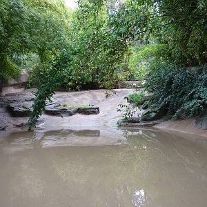 2/6/10 - Manchurian Crane