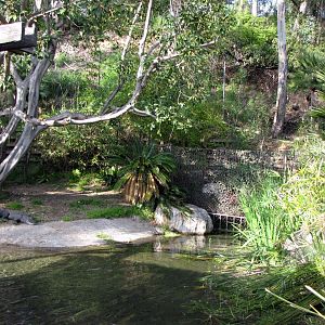 Reggies Private Domain