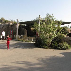 Upper Viewing Level: Sea Life Cliffs