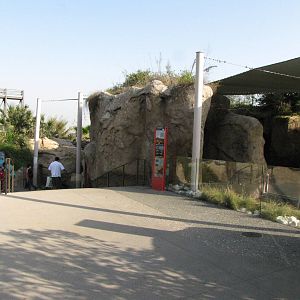 Upper and Middle Level Viewing: Sea Life Cliffs