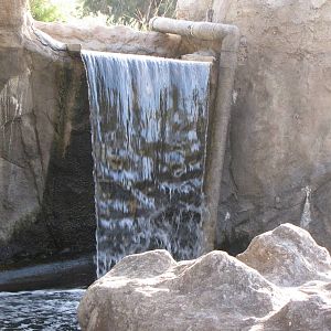 Waterfall: Sea Life Cliffs