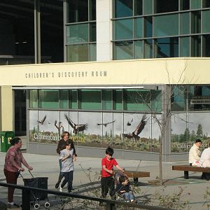 Childrens Discovery Center