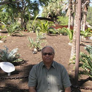 Blackduiker During Snow Days: Day 2
