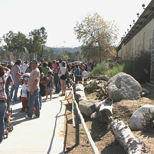 Snow Days: Day 2 Feb. 14, 2010