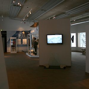 Polar exhibition